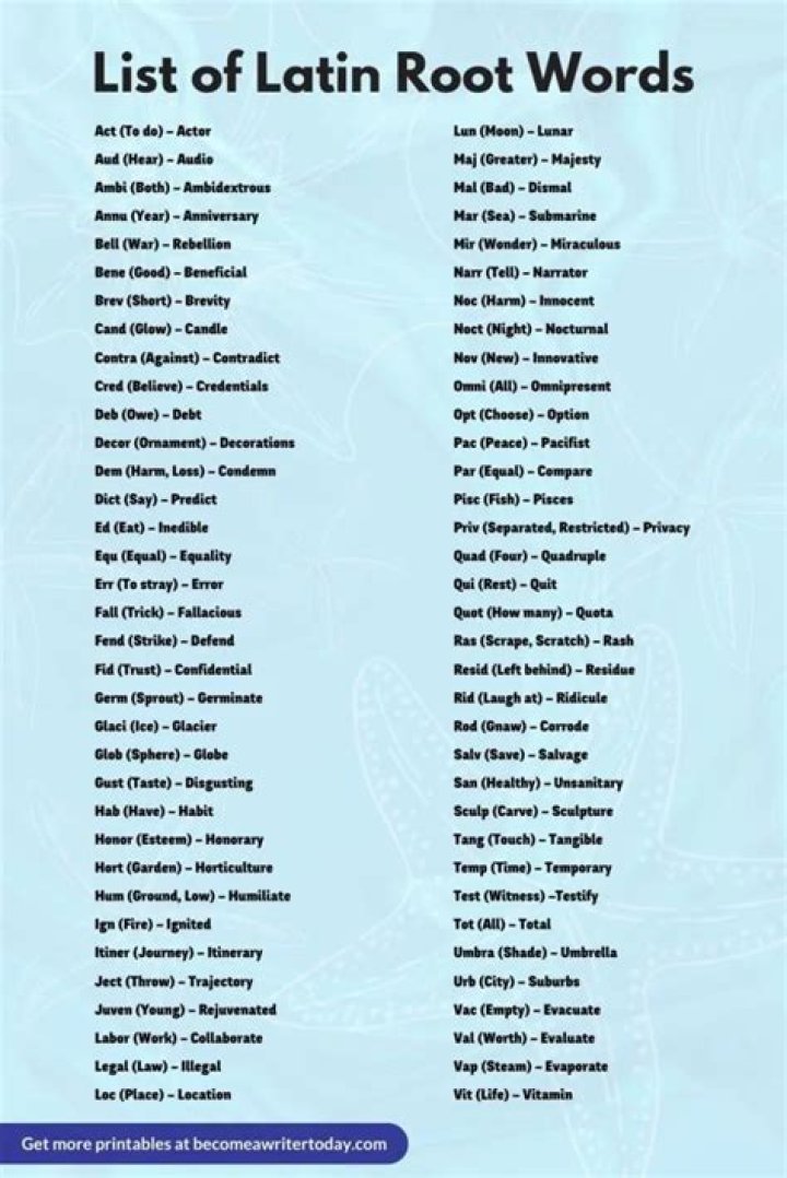 What Does The Latin Root Word Art Mean