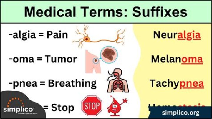 What does the suffix globin mean in medical terms?