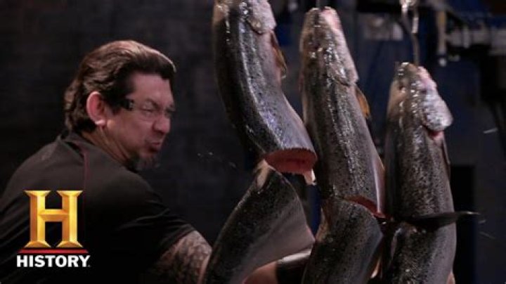 What Happens to the Meat on ‘Forged in Fire’ After It Gets Sliced?