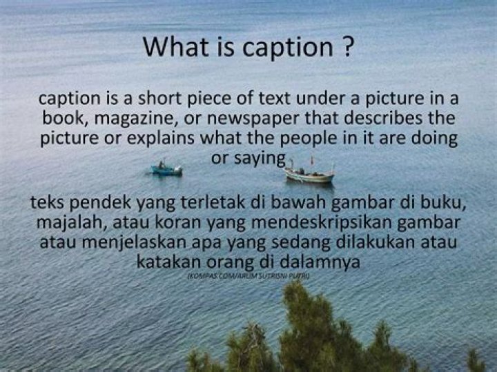 Quick Answer: What Is A Caption In A Book