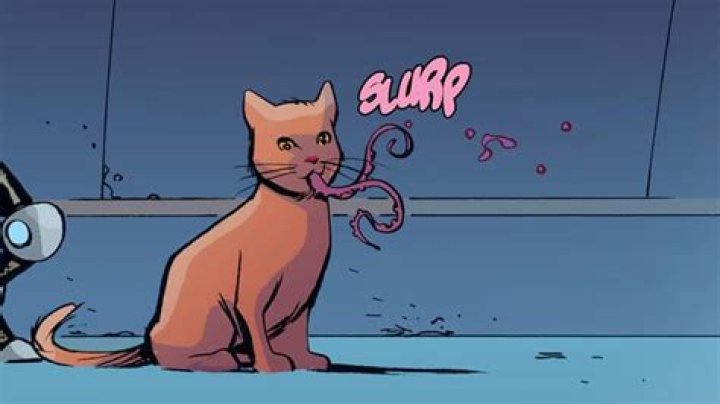 Question: What Is A Flerken