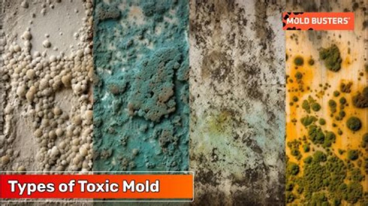 What Is A Negative Mold