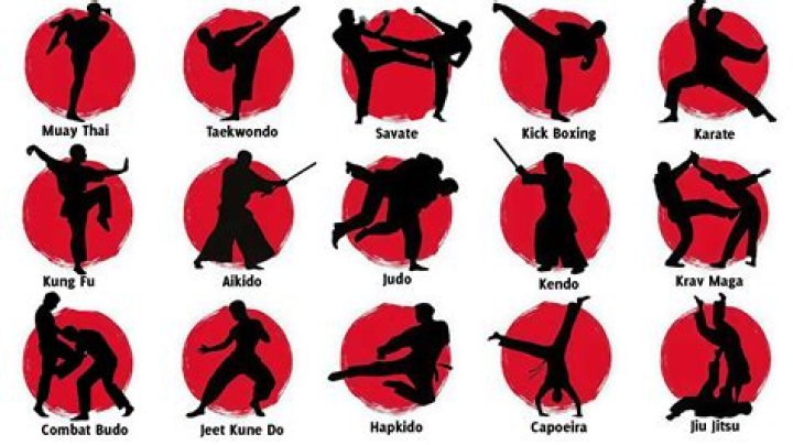 Question: What Is Chun Lis Martial Art Style