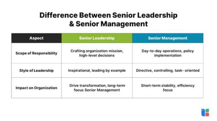 What Is Considered Senior Level Management