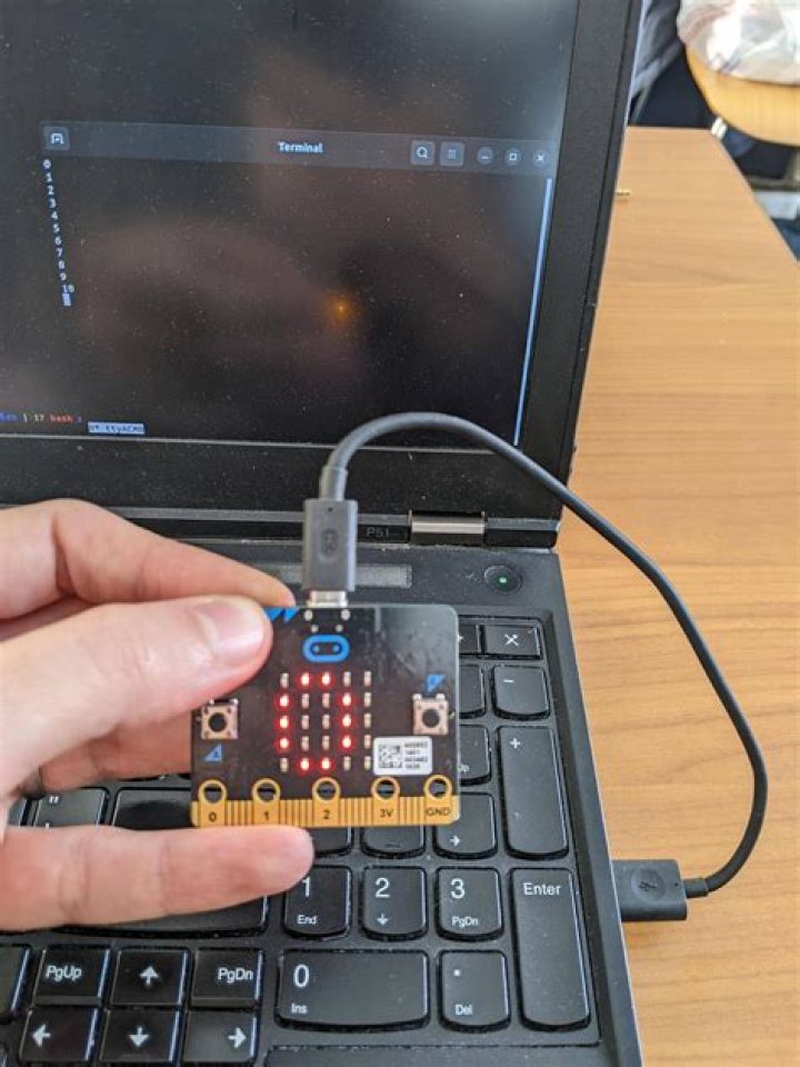 What is Dev ttyAMA0?