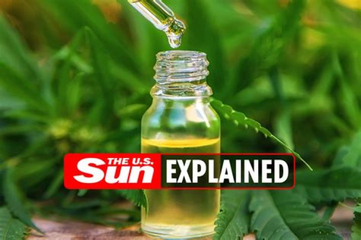 What is hash oil? | The US Sun