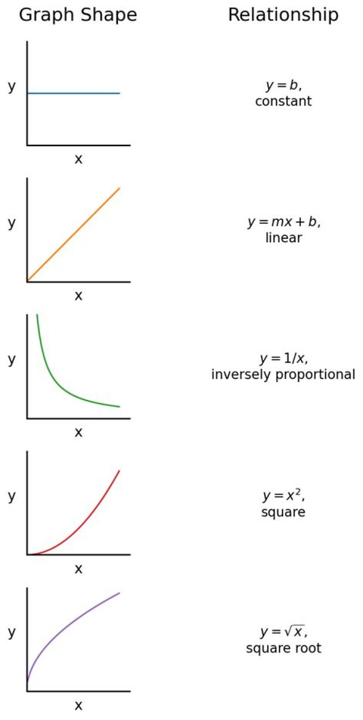 Question: What Is The General Shape Of The Graph Line