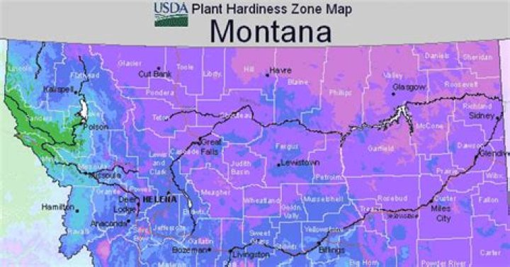 What is the growing zone for Montana?