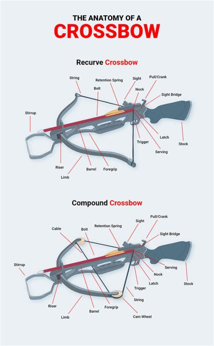 Quick Answer: What Is The Latch On A Crossbow