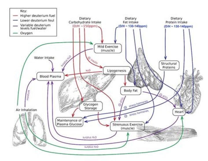 Question: What Is The Mass Of An Ink Pen
