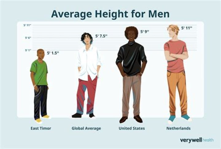 What Is The Most Attractive Height And Weight For A Man