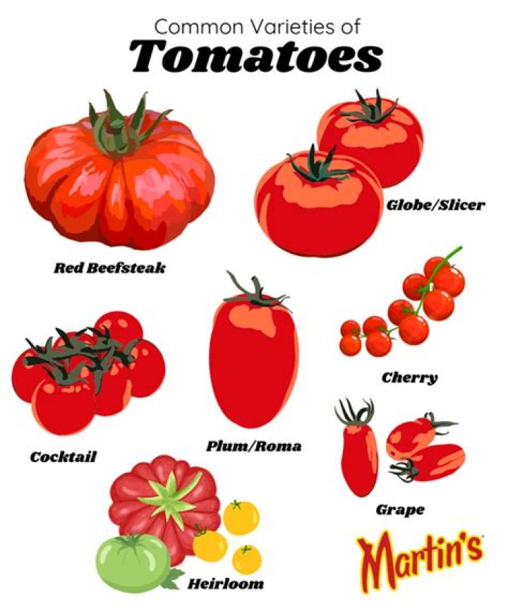 What kind of tomatoes go on burgers?