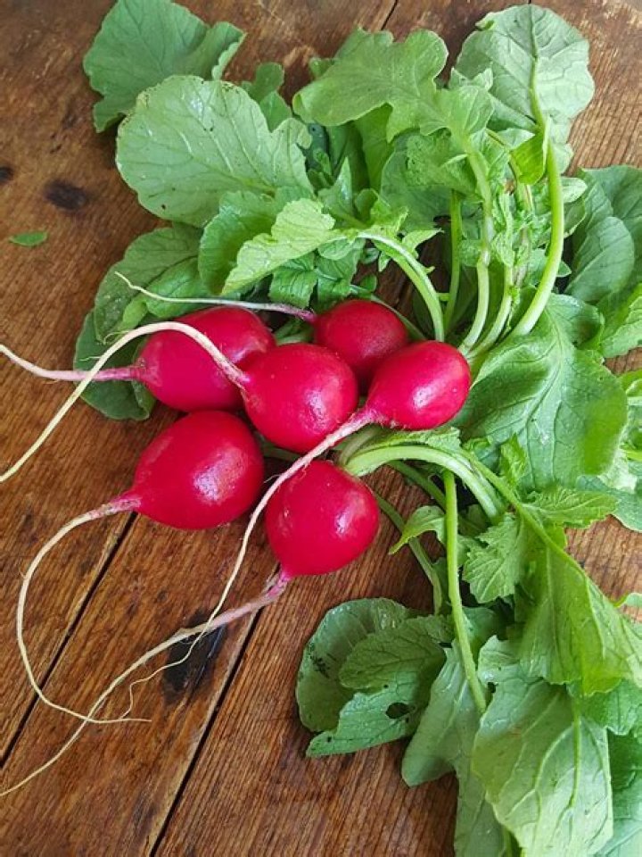 What makes radishes so hot?