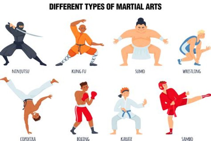 Quick Answer: What Martial Art Style Does Ip Man Us