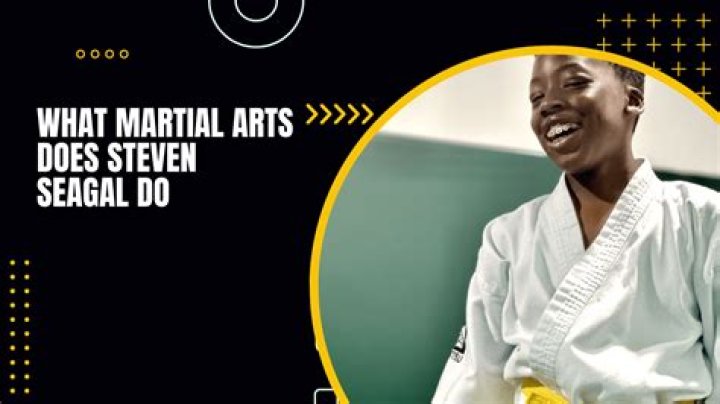 What Martial Arts Style Does Steven Seagal Use