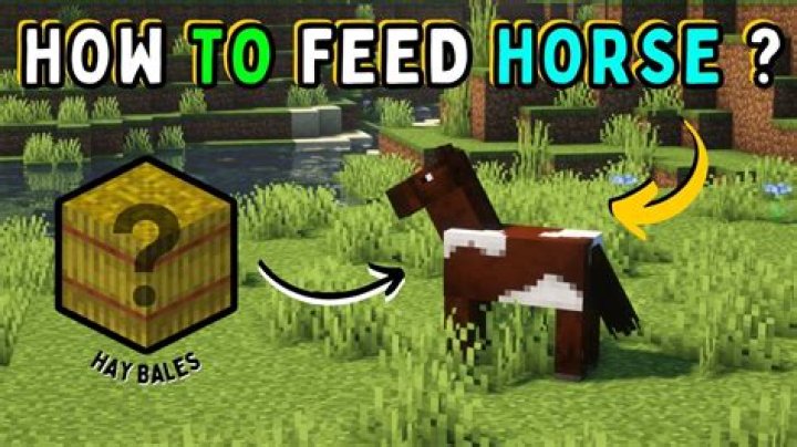 Quick Answer: What To Feed Horses In Minecraft