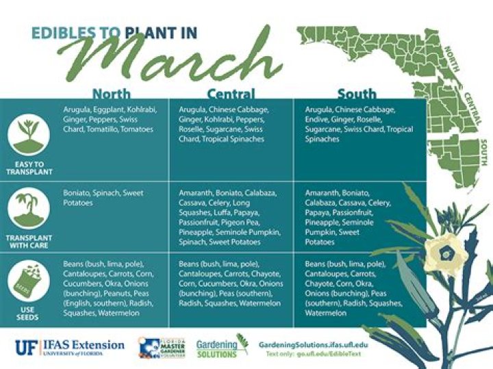 Quick Answer: What To Plant In Florida In March