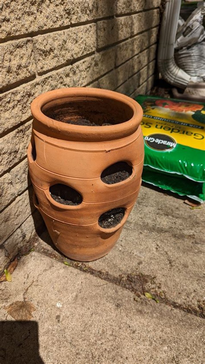 What To Plant In Terracotta Pots With Side Holes