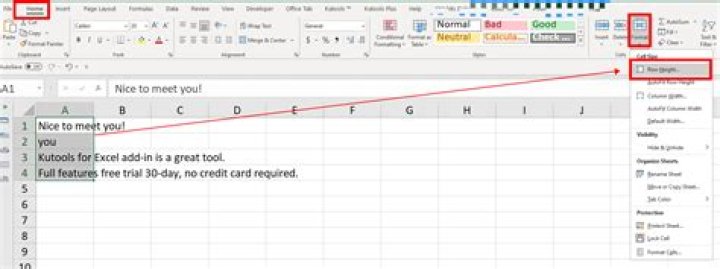 What Tool Would Stop Words From Overflowing In Excel