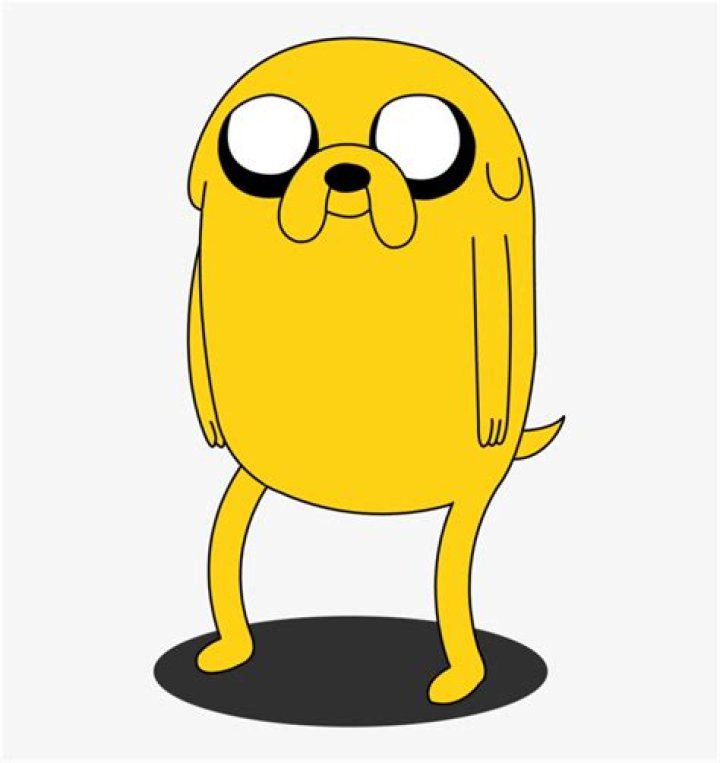 What Type Of Dog Is Jake From Adventure Time