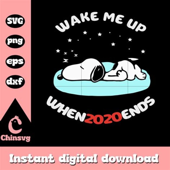 Question: When 2020 Ends - Seniorcare2