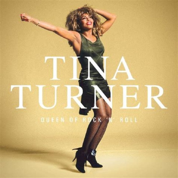 When Did Tina Turner Start Her Career?