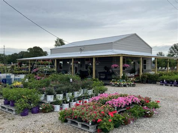 Quick Answer: When Do Nurseries Start Selling Flowers