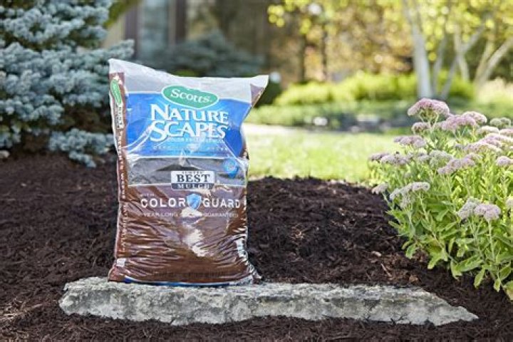 When Does Mulch Go On Sale At Lowes 2021