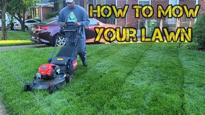 The exact date you should start mowing your lawn again after the winter and why you should always use a high setting