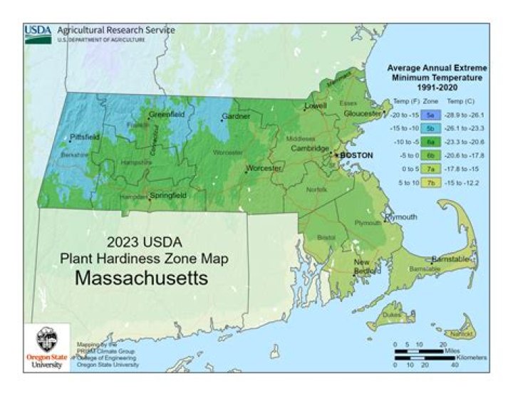 Quick Answer: When To Plant In Massachusetts