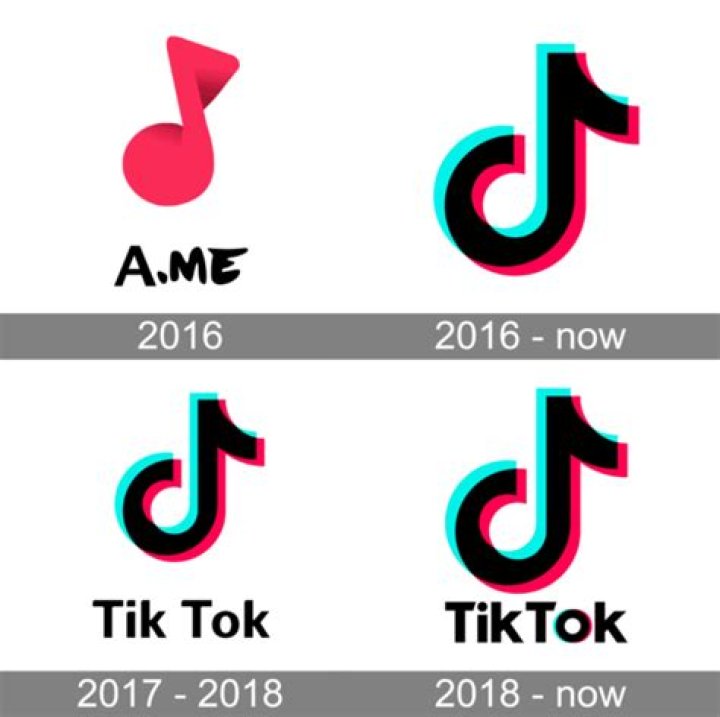 When Was Tik Tok Made
