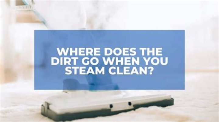 Where Does The Dirt Go When You Steam Clean