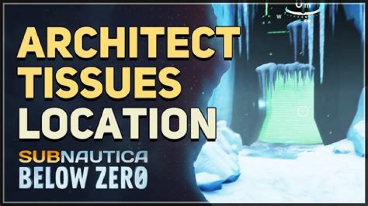 Where To Find Architect Tissues