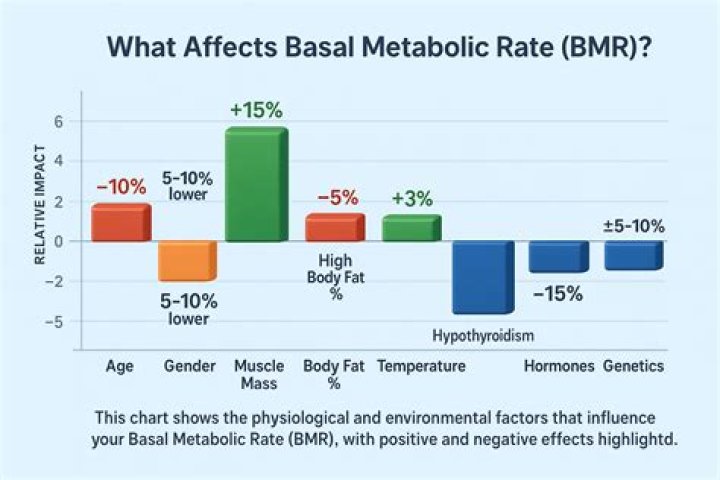 Which rat had the fastest basal metabolic rate BMR )?