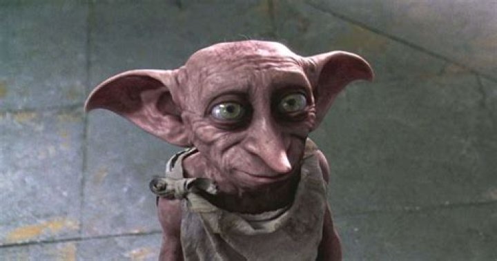 Question: Who Is Dobby In Harry Potter