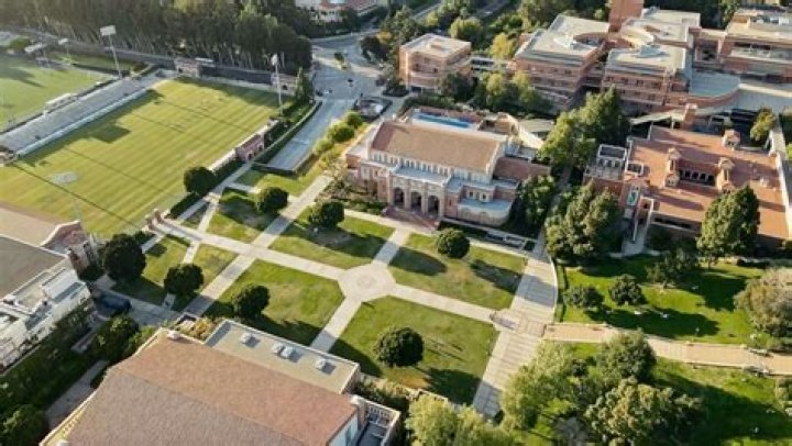 Who Killed Andrea DelVesco and What Happened to the UCLA Student?