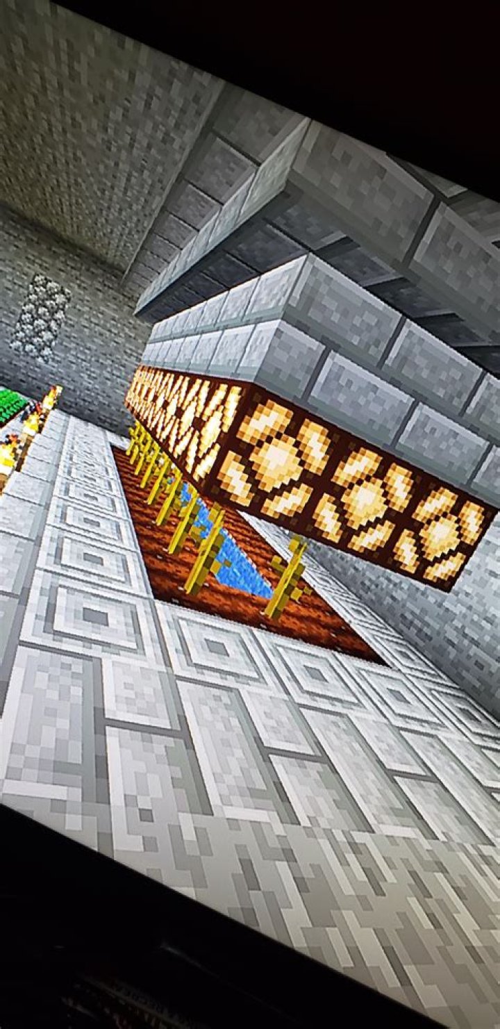 Why are my pumpkins not growing Minecraft?