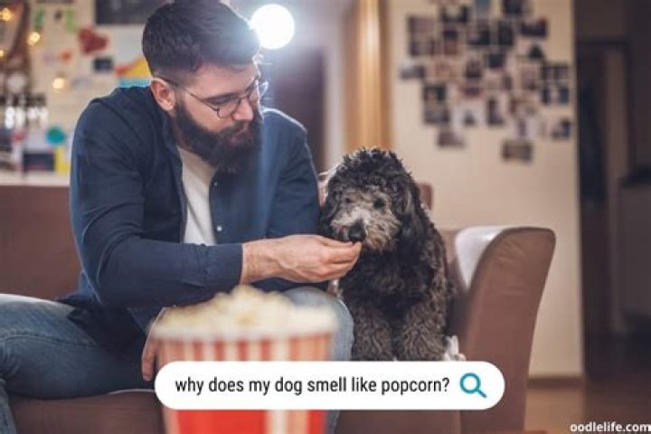 Quick Answer: Why Does My House Smell Like Popcorn