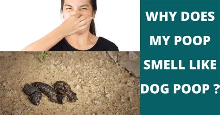 Poop Odour: 9 Reasons for Stinky Stool