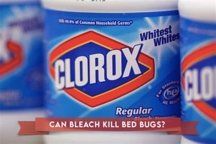 Question: Will Bleach Kill Bugs In Drain