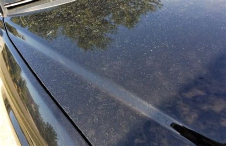 Quick Answer: Will Clay Bar Remove Water Spots