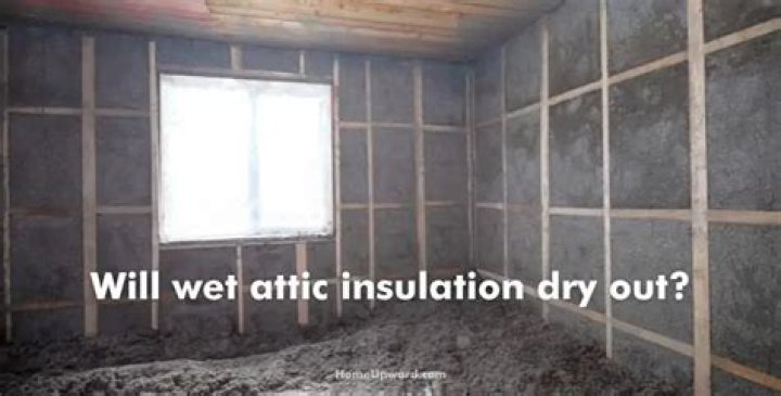 Will wet attic insulation dry out?