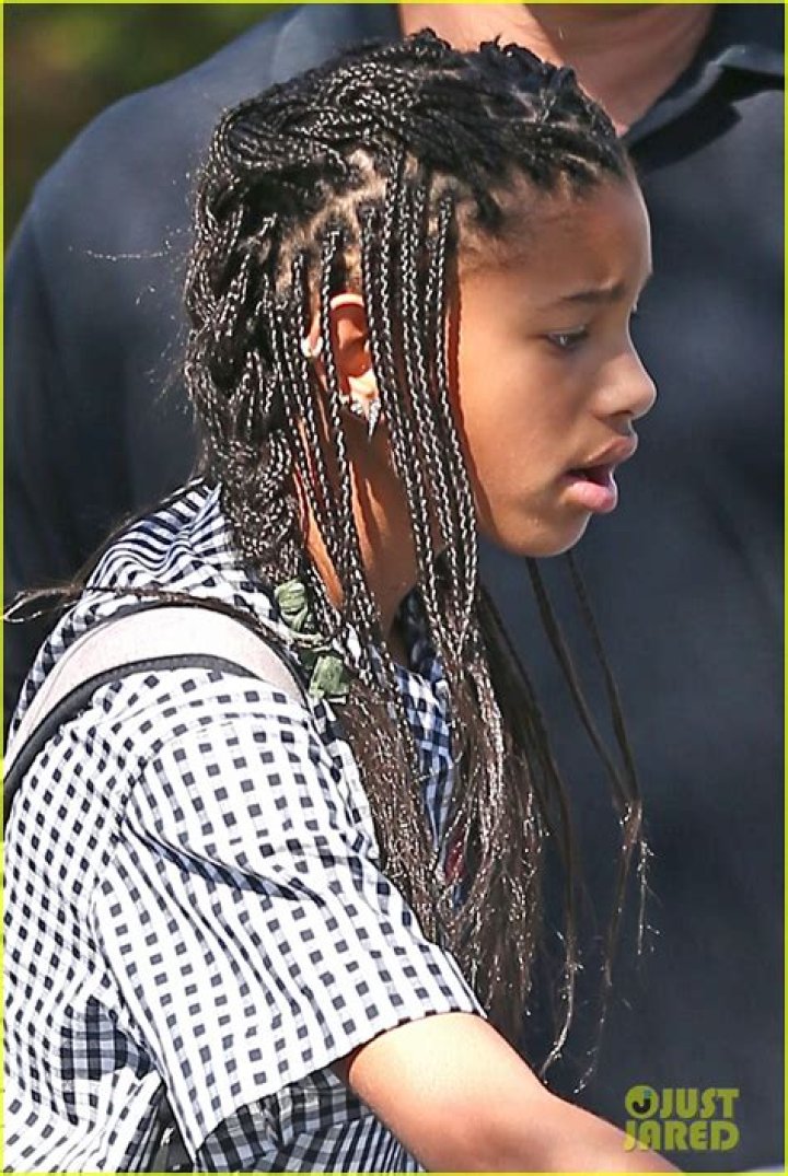 Willow Smith's New Braided Bob Makes Her Look Like Her Mum's Twin — See Photos