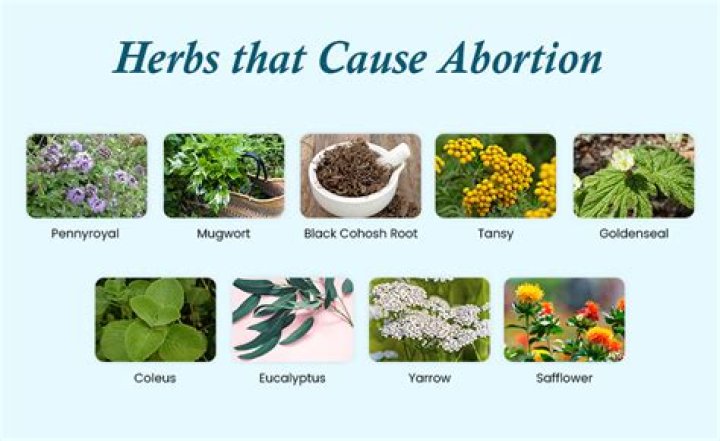 Women who've tried 'herbal abortions' urge others not to follow their lead