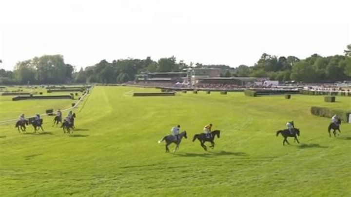 World's longest horse race descends into total chaos as shocked commentator says 'I've never seen anything like it'