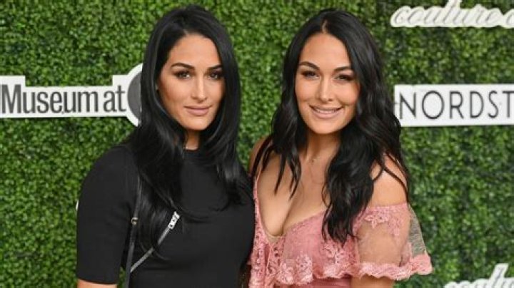 WWE’s Bella twins used to pay the bills at Hooters – now they're worth $12m and own matching LA mansions & lingerie line