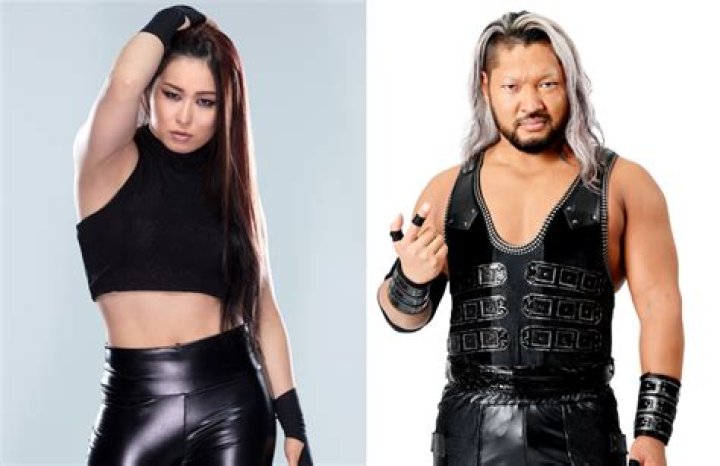 Understanding The Life And Relationships Of WWE Star Iyo Sky