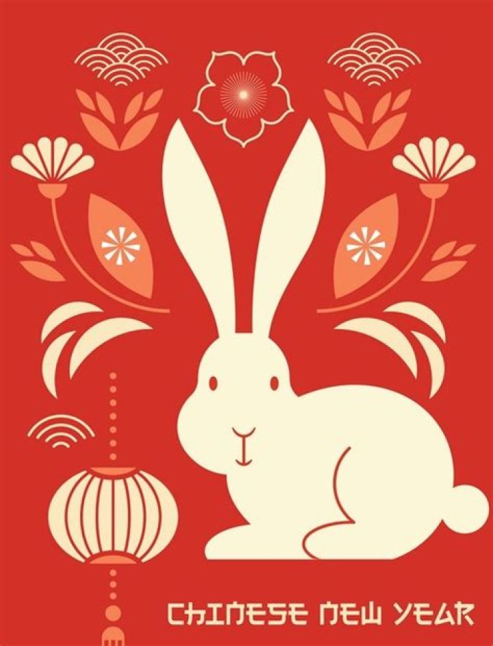 It’s the Year of the Rabbit and, finally, we can all chill