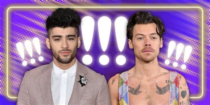 Zayn Malik 'Never Really Spoke' to Harry Styles in One Direction