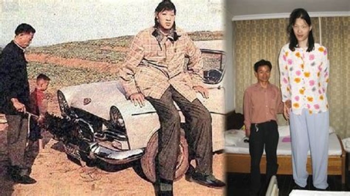 Zeng Jinlian Latest News, Photos and Videos